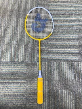 Badminton Rackets Set of 4 for Outdoor Backyard Games,Including 4 Rackets, 6 Nylon Shuttlecocks, 4 Replacement Grip Tapes and 1 Carrying Bag, Lightweight Badminton Racquets for Kids Adults Beginners