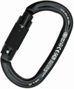 Desconocido Unconocido Ovaloneosqueton Aluminium Autoblock-anodised Carabiner, Unisex Adult