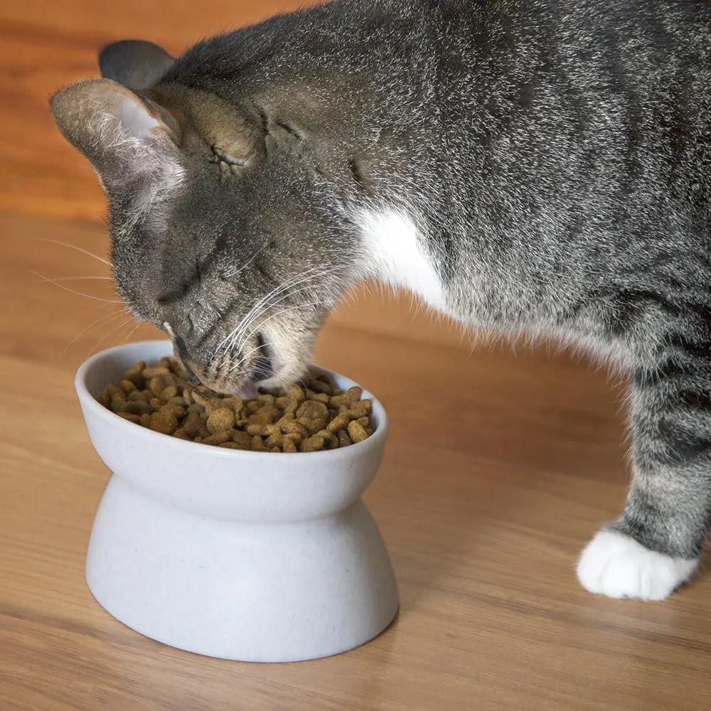 Kitty City Raised Cat Bowls, Small Bowl 2pk (Modern)