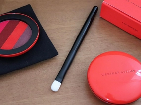 Lip Brush