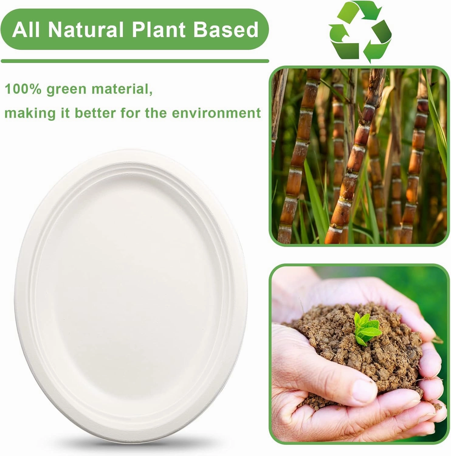 Oval Eco Friendly Disposable Plates - Large Heavy Duty Paper Plates 12 inch, Bulk Pack for BBQ, Party, Picnic