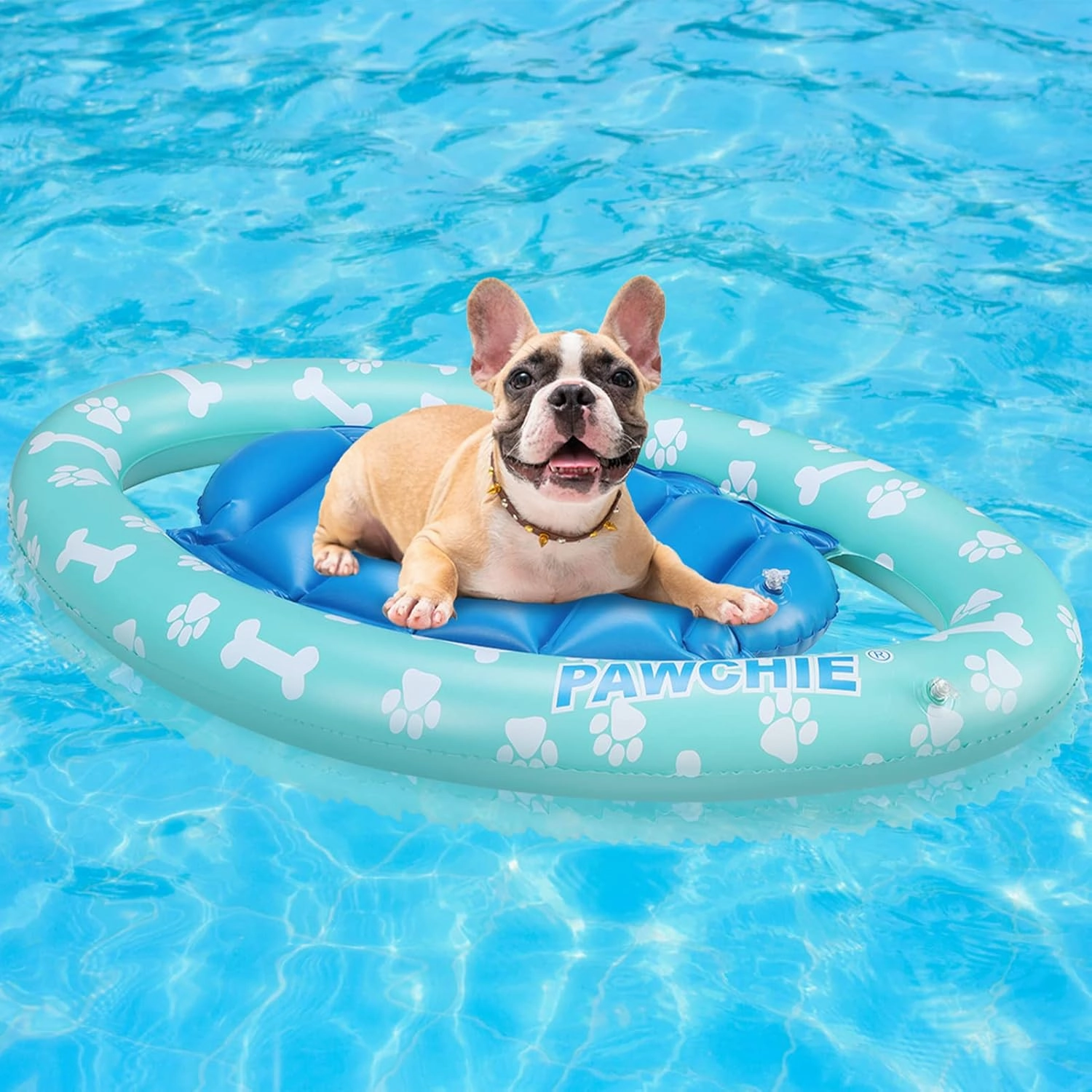 PAWCHIE Dog Pool Float - Inflatable Rafts, Inflatable Ride-ons for Kids Pets Summer Outdoor Water Games, Swimming Pool Water Toy