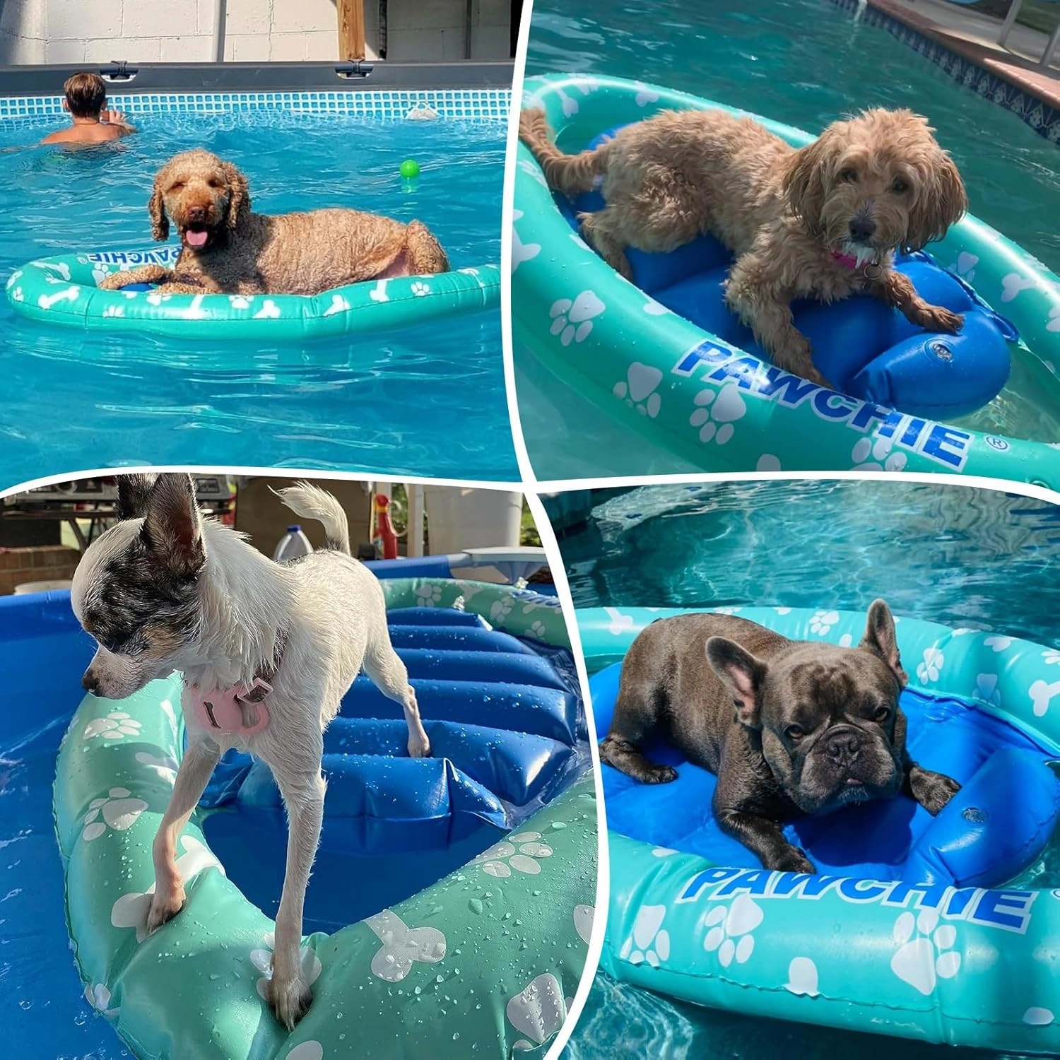 PAWCHIE Dog Pool Float - Inflatable Rafts, Inflatable Ride-ons for Kids Pets Summer Outdoor Water Games, Swimming Pool Water Toy