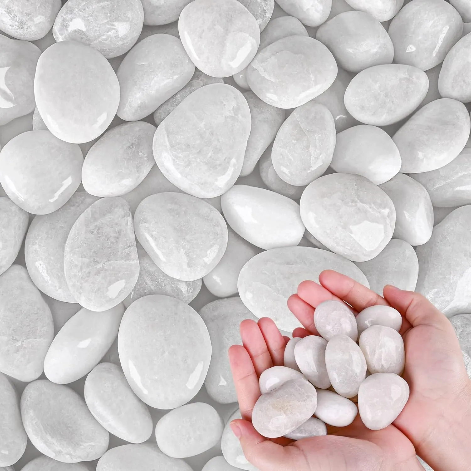 White River Rocks for Plants 11.25 LB Small Decorative Pebbles 1"-1.5" Polished Stones Smooth Aquarium Gravel for Fish Tank Vases Indoor Planters Outdoor Landscaping Garden (180oz)