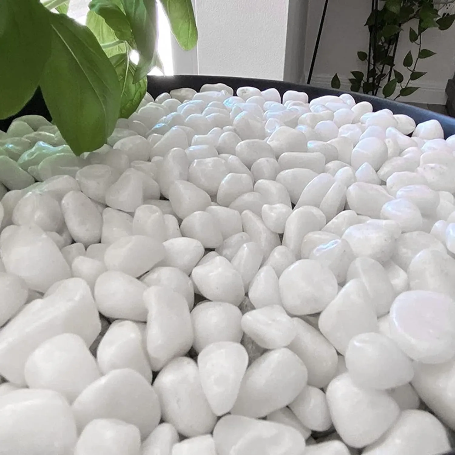 White River Rocks for Plants 11.25 LB Small Decorative Pebbles 1"-1.5" Polished Stones Smooth Aquarium Gravel for Fish Tank Vases Indoor Planters Outdoor Landscaping Garden (180oz)