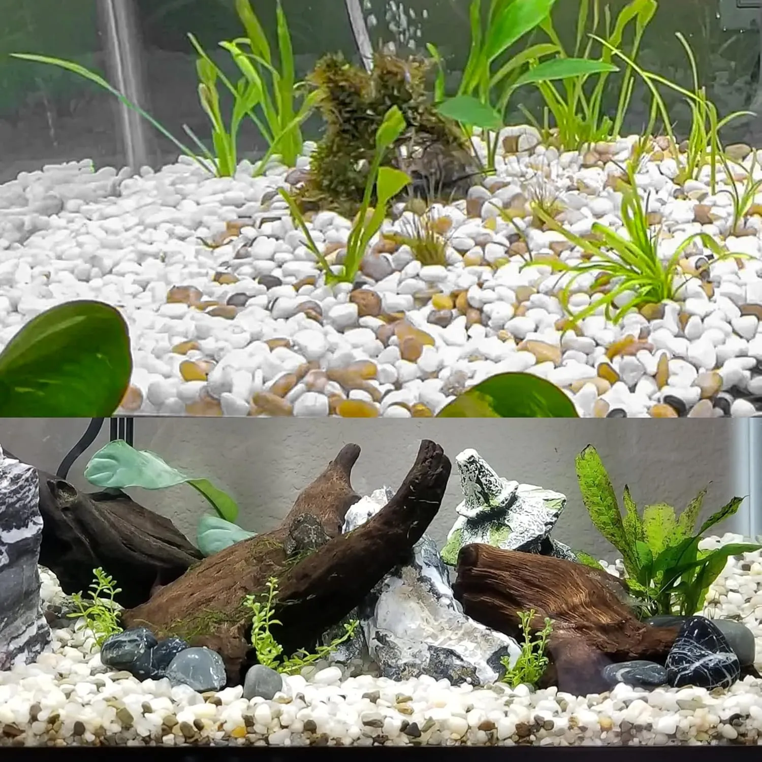 White River Rocks for Plants 11.25 LB Small Decorative Pebbles 1"-1.5" Polished Stones Smooth Aquarium Gravel for Fish Tank Vases Indoor Planters Outdoor Landscaping Garden (180oz)